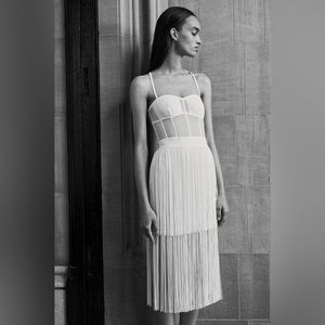 Herve Leger Mesh Bustier Fringe Dress